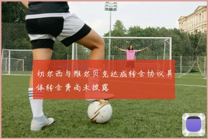 切尔西与维尔贝克达成转会协议具体转会费尚未披露